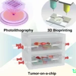 3D chip cancer research