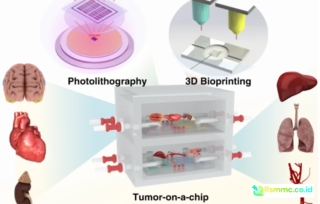 3D chip cancer research