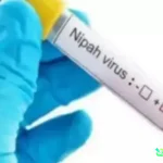 Gejala Virus Nipah Mematikan