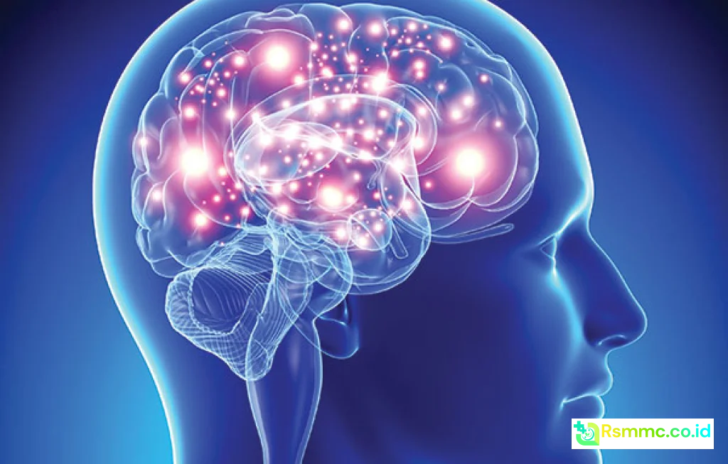 konektivitas otak dan posisi neuron