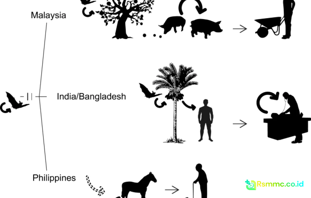 Virus Nipah di India