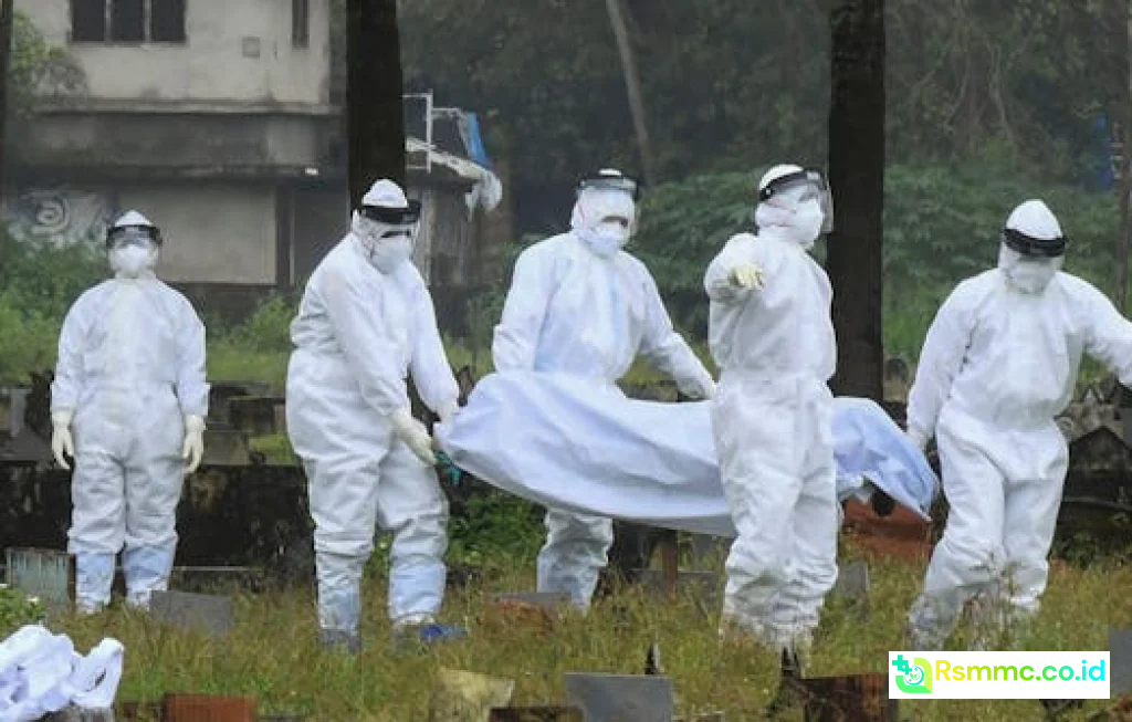 wabah virus nipah india