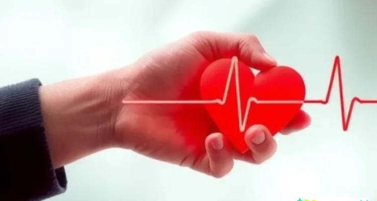 analisis heart rate variability realtime