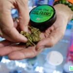 bans on many CBD products