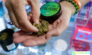 bans on many CBD products