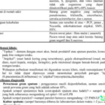 sel HIV laten buatan lab