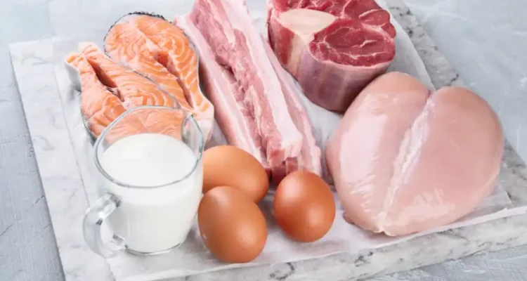 Protein Hewani dan Perannya dalam Menopang Kesehatan Tubuh