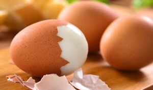 Protein dalam Telur Sumber Nutrisi Sederhana yang Menyimpan Kekuatan Besar
