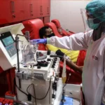 Seberapa Aman Keamanan Donor Plasma? Kasus Kematian Kanada Bongkar Fakta