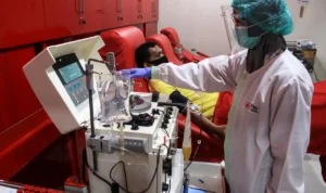 Seberapa Aman Keamanan Donor Plasma Kasus Kematian Kanada Bongkar Fakta_11zon (1) Seberapa Aman Keamanan Donor Plasma? Kasus Kematian Kanada Bongkar Fakta