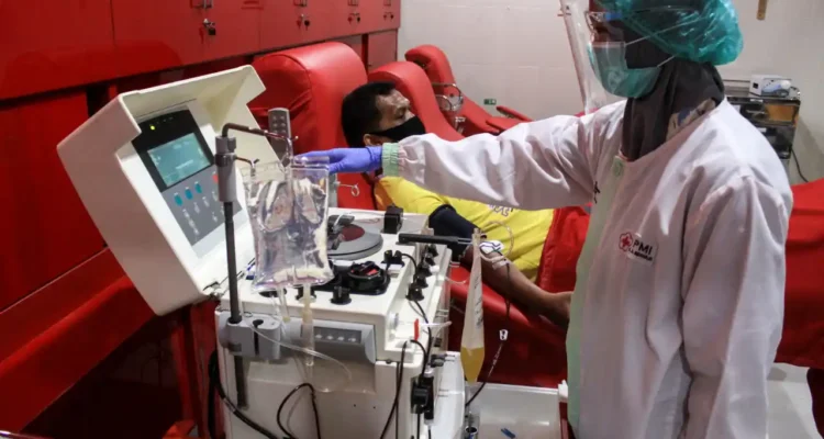 Seberapa Aman Keamanan Donor Plasma? Kasus Kematian Kanada Bongkar Fakta