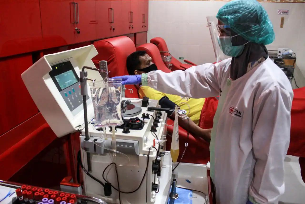 Seberapa Aman Keamanan Donor Plasma? Kasus Kematian Kanada Bongkar Fakta