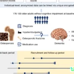 osteoporosis drugs dementia risk
