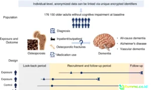 osteoporosis drugs dementia risk