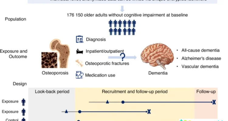 osteoporosis drugs dementia risk