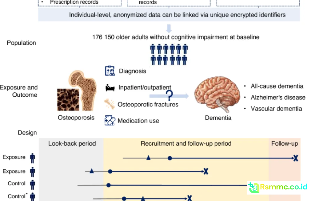 osteoporosis drugs dementia risk