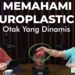 kesehatan otak sepanjang hayat