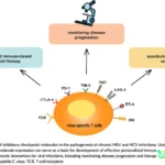 sistem imun melawan infeksi virus