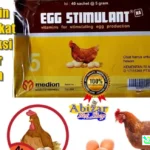 telur ayam jadi pabrik obat
