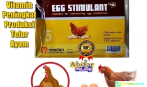 telur ayam jadi pabrik obat