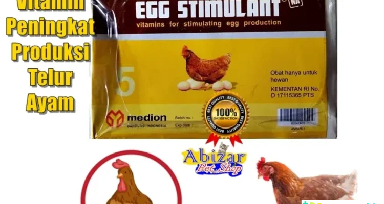 telur ayam jadi pabrik obat