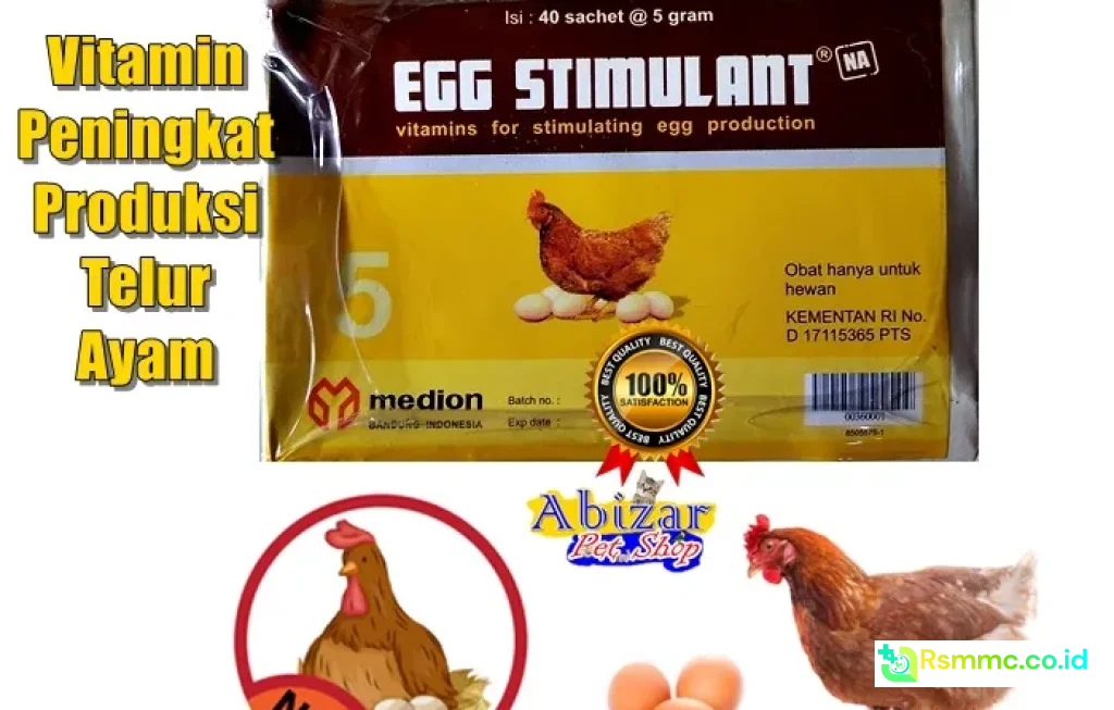 telur ayam jadi pabrik obat