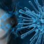 Awal Mula Virus Corona, Dari Kasus Pneumonia Misterius sampai Dunia Berubah