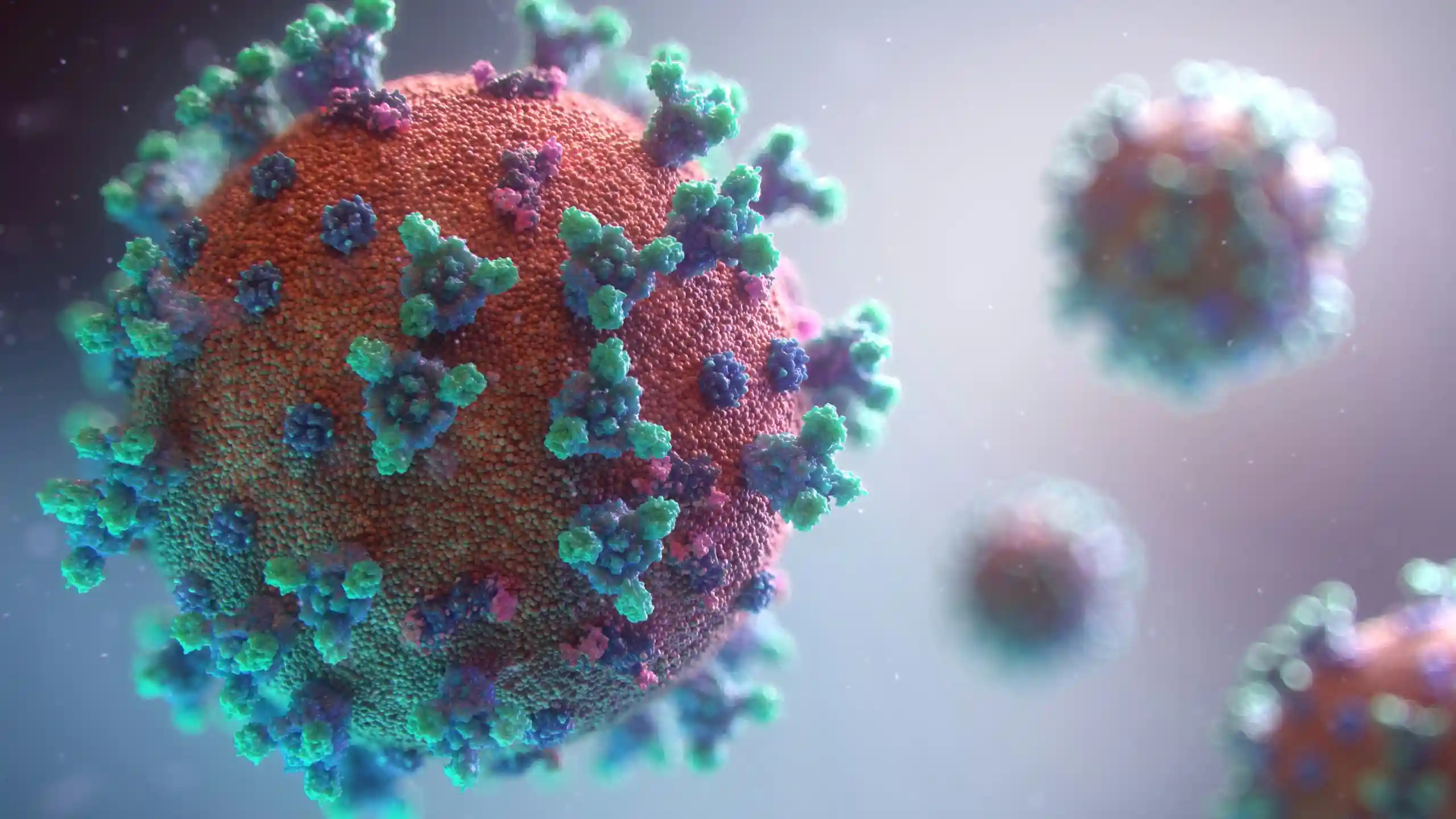 Apa Itu Virus? Mengenal Penyusup Mikroskopis yang Menguasai Sel Hidup